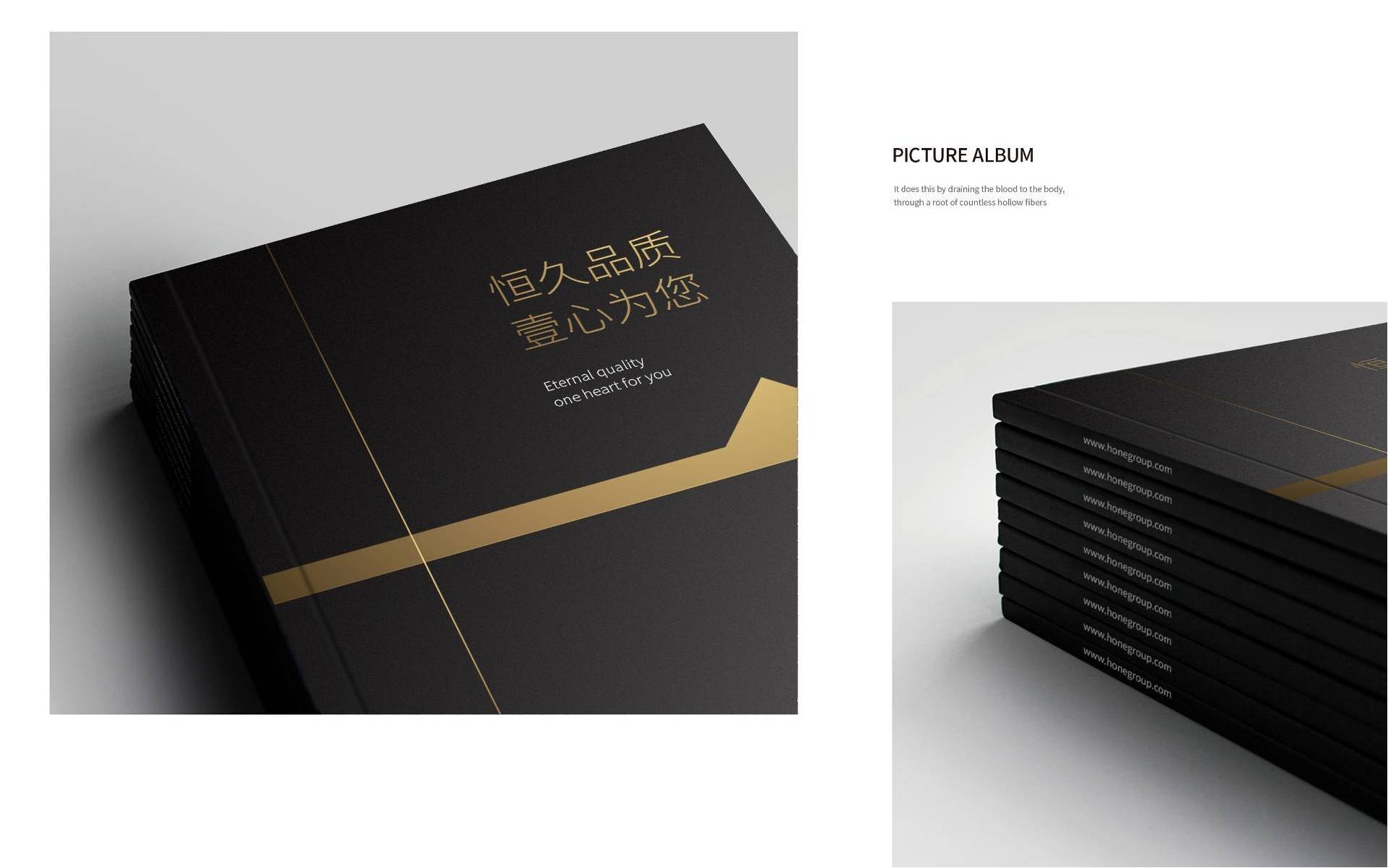 1581049869886691.jpg 66.jpg